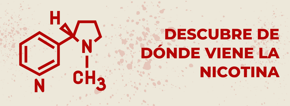 Descubre de dónde viene la nicotina